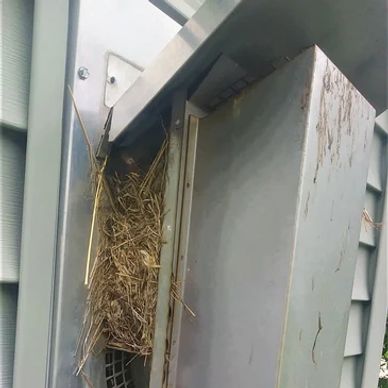 bird nest inside fireplace vent outside