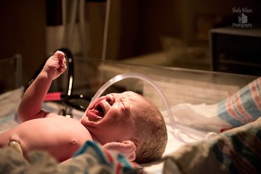 Family, headshot, portrait, newborn, children's, birth photography - Nashville, TN area Photographer