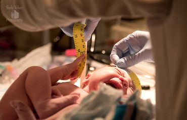 Family, headshot, portrait, newborn, children's, birth photography - Nashville, TN area Photographer