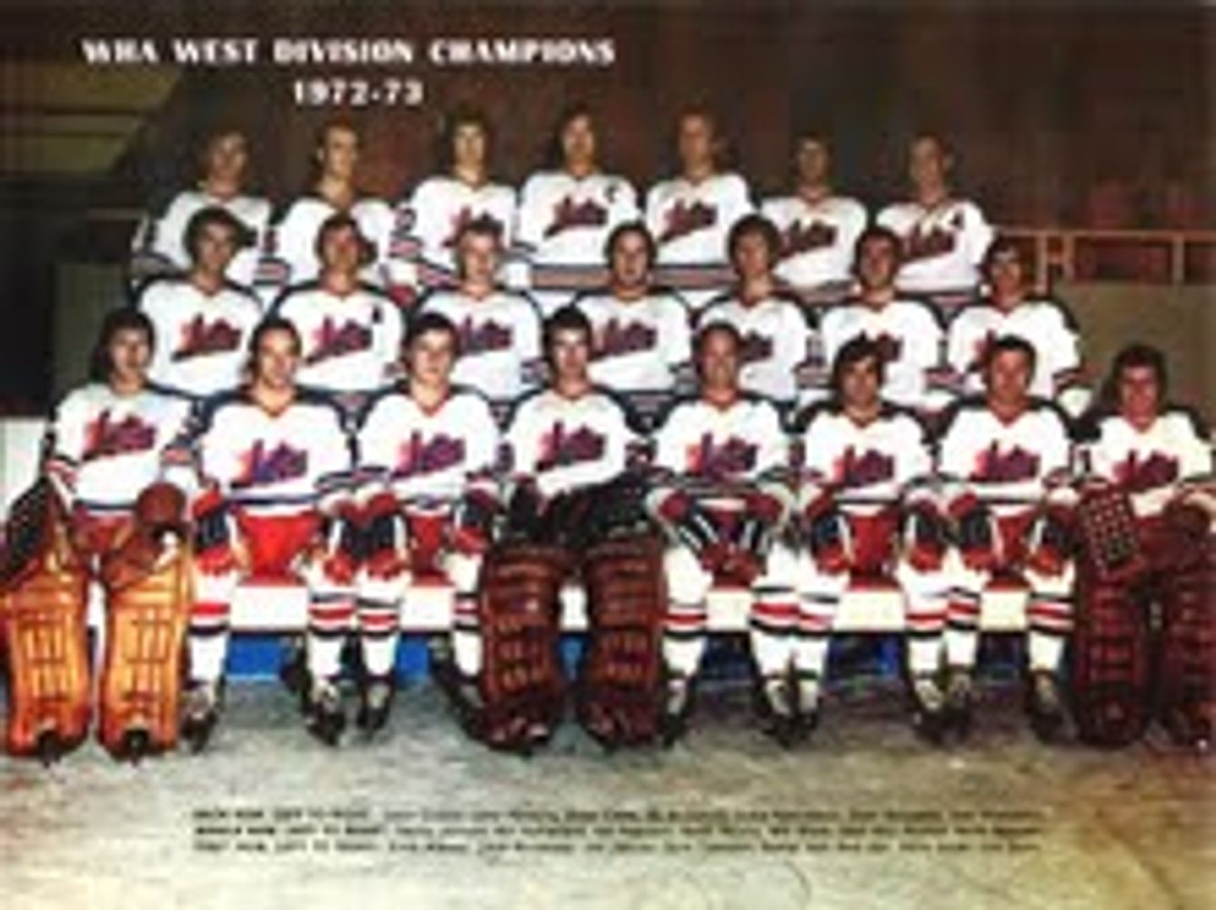 WINNIPEG JETS '1.0' in 1972-1973 - the COURAGE to start something new is what and who you see here!