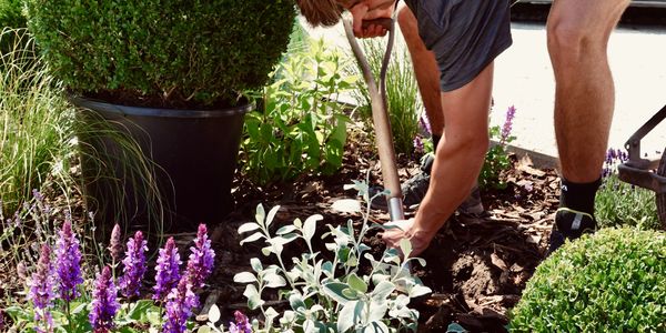 Green Velvet Landscapes Maintenance Team in Chester