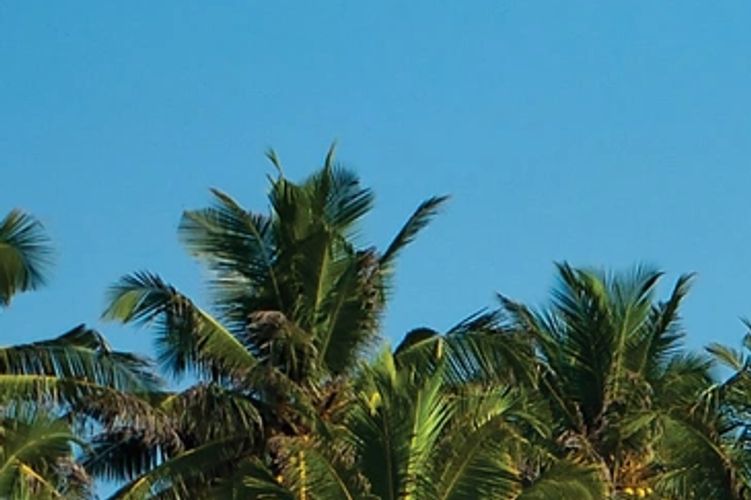 OCEAN COAST PROPERTIES.COM