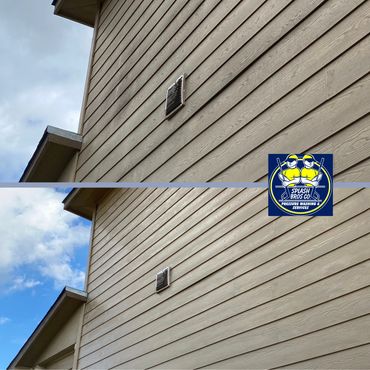 Professional house washing and pressure washing services in San Antonio, Texas. Soft washing homes.