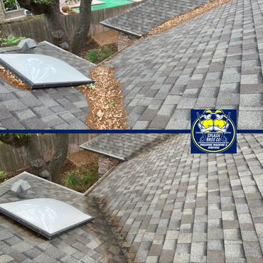 Professional residential and commercial gutter cleaning services in San Antonio, Texas.