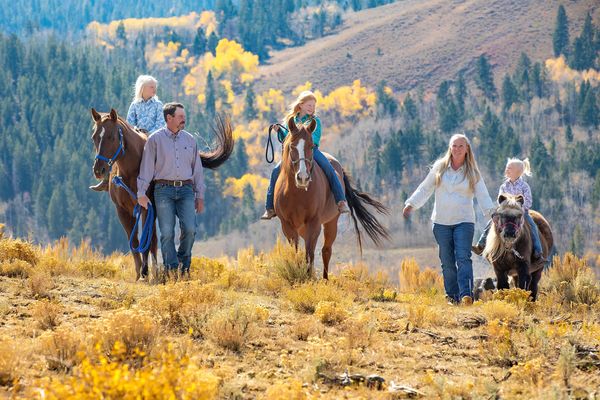 family portrait sessions with fall leaves and horses in Granby Colorado: horses and fall photos
