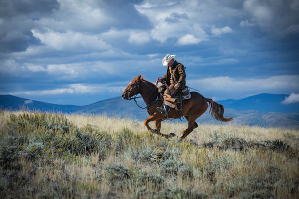 dynamic action horse portrait with cowboy in Colorado with mountain in background