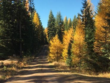 Convenient Access Off Montana 83.