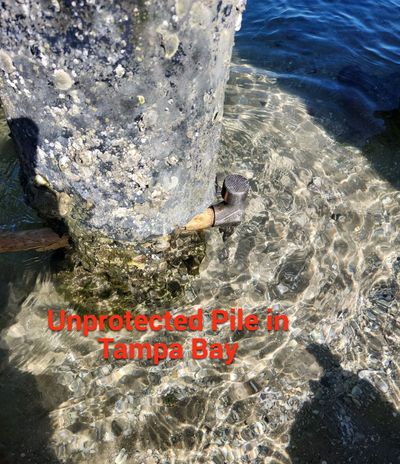 vinyl wrap services tampa bay