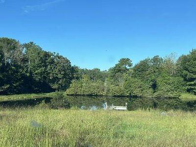 View of a pond surrounded by trees under a clear blue sky.