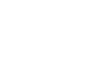 Mint Realty Group