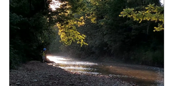 Creek Near Pilgrim House Cabins. Visit Mastodon State Historic Site
