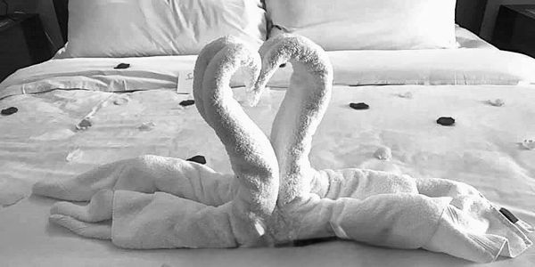 Towel swans forming a heart on a bed.