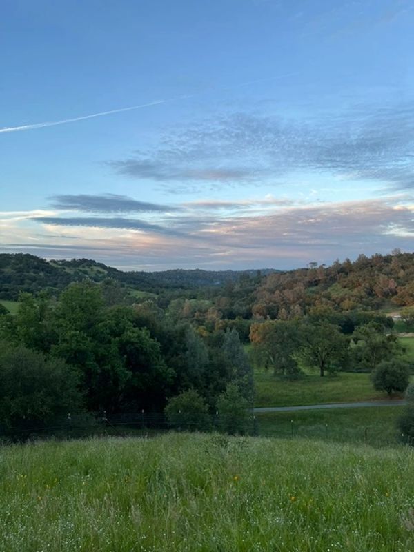 Scenic view of a grassy field and trees under a blue sky with clouds at sunset.