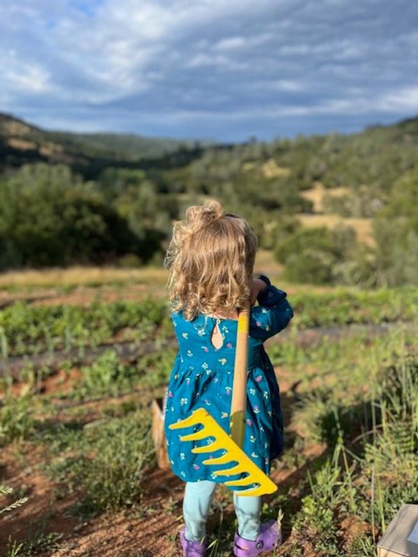 A child with curly hair holding a yellow rake in a field.