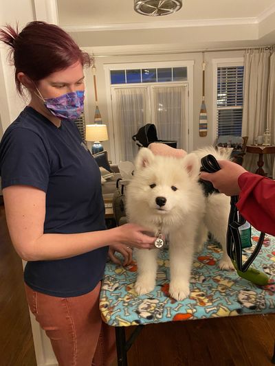 WyteRose Gotcha Day Photo of a Puppy and Forever Family