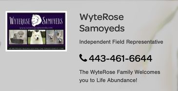 Contact Life’s Abundance Field Representative, WyteRose Samoyeds, at 443-461-6644