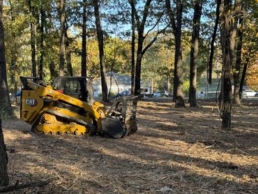 Estate lot mulching job in Delaware county, Oklahoma