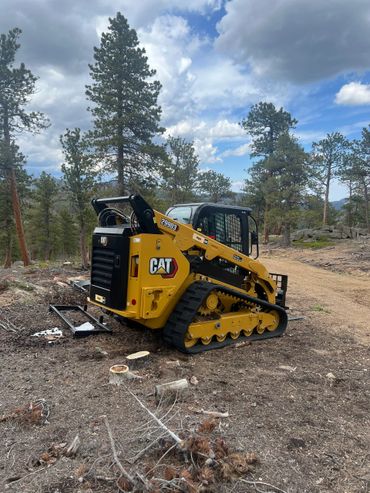 Yellow CAT compact track loader parked on a dirt path in a forested area.