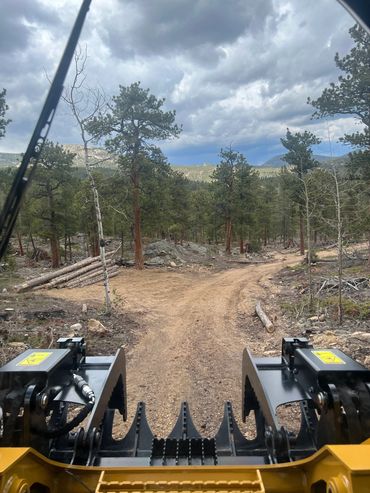 View from construction machinery clearing a forest path under cloudy skies.
