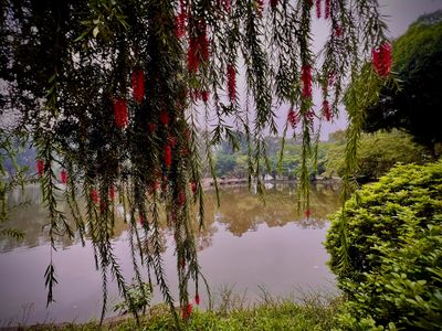 Quite lagoon