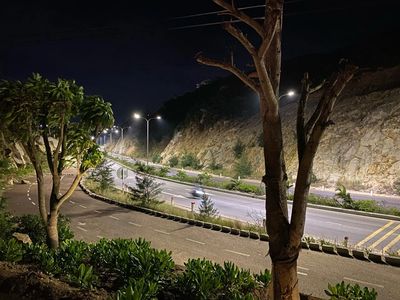 Quiet Night