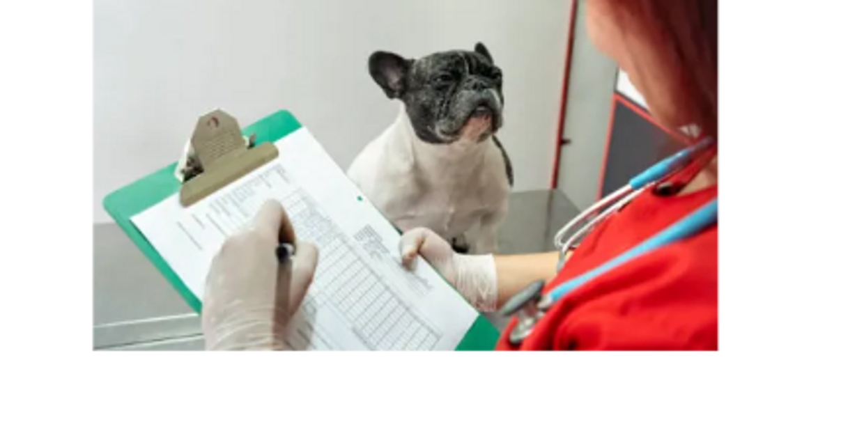 Your Pet's Health, Our #1 Priority!