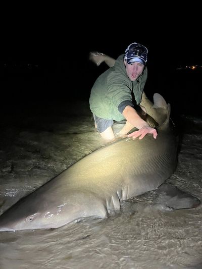 land based shark fishing release shallow surf australia