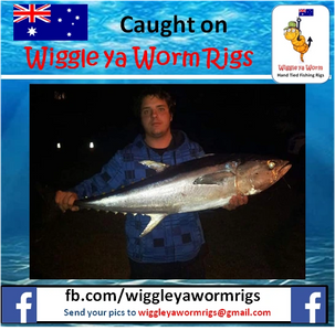 caught on slide bait trolley made by Wiggle ya Worm