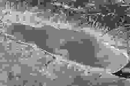 image504