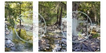 PHOTOGRAPHY COPYRIGHT PROTECTED DANA TAYLOR