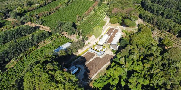Aerial view of a farm surrounded by lush green fields and dense trees.