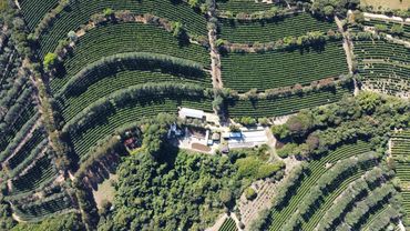 Aerial view of a lush, terraced agricultural farm with dense greenery and buildings.