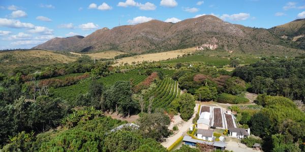 Scenic agricultural landscape with green fields and mountains under a blue sky.