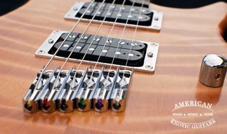 American Exotic Guitars, guitar, electric guitar, hardwood, made in U.S.A.
