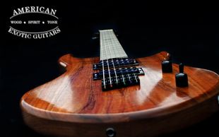 American Exotic Guitars, guitar, electric guitar, hardwood, made in U.S.A.