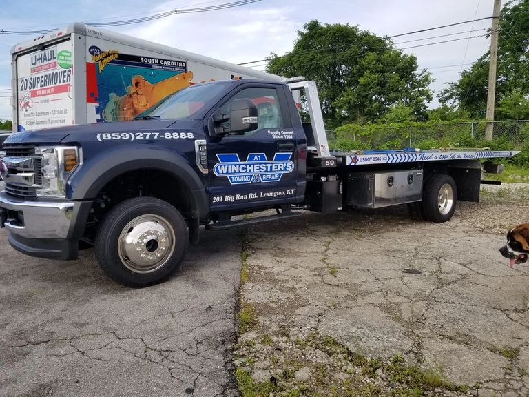 Rollback 50 is the 2nd of our new fords we've added lately. Our furbaby Kaisley is always around.
