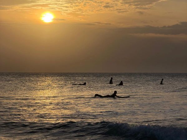 Surfers waiting on their boards as the sun sets over the ocean.