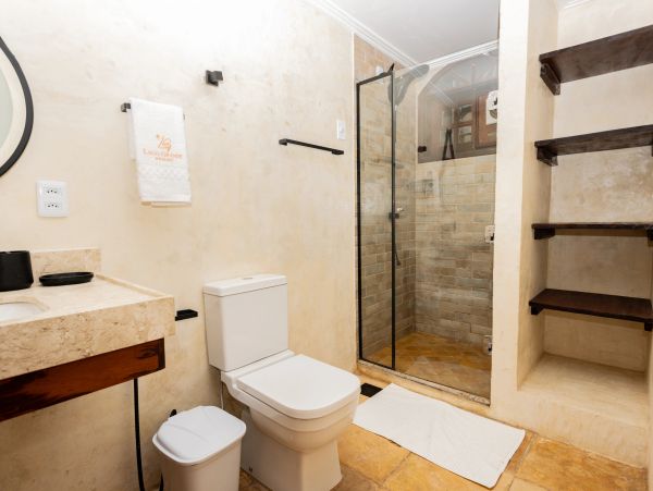 Modern bathroom with glass shower, white toilet, and wooden shelves.