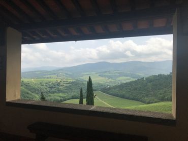 Vineyards of Tuscany, Italy 