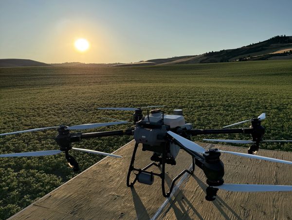 A drone on a wooden surface with a sunset over green fields in the background.