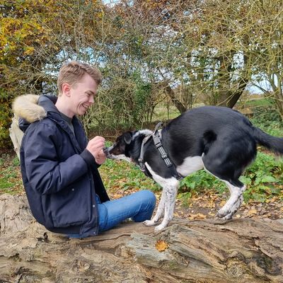 Daniel Shaw training a collie