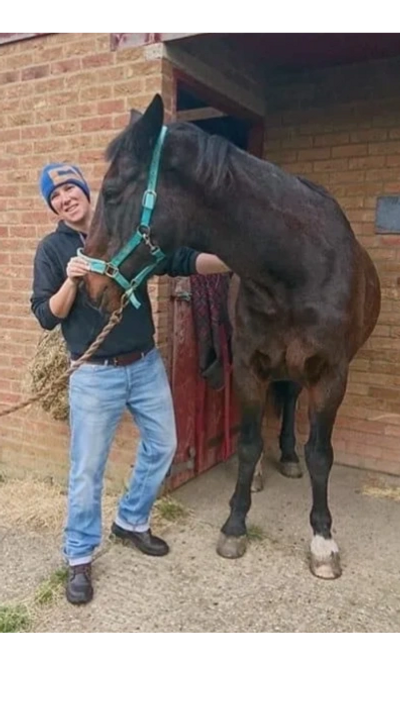 Alister Booth osteopath treating a horse
animal osteopath
equine osteopathy