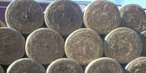 300 Rounds Bales made right here every year