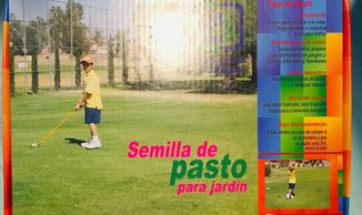 Semilla de Pasto