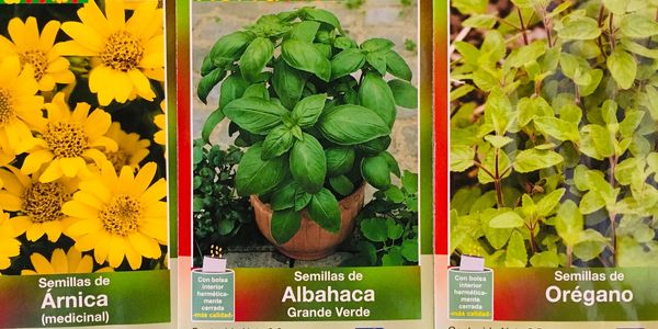 Semillas de flores y aromáticas