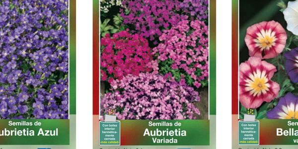 Semillas de Flores