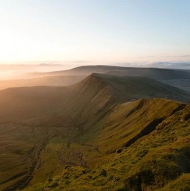 commercialisation, medical device order fulfilment, warehouse storage and logistic