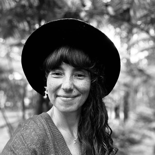 A scenic landscape featuring mountains, a lake, and vibrant greenery under a clear blue sky.