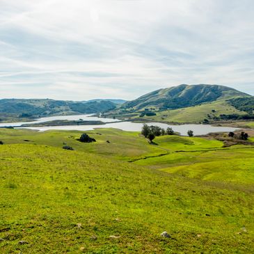 Livxplore has experience in land & ranches in northern california. Image of a ranch in west Marin.