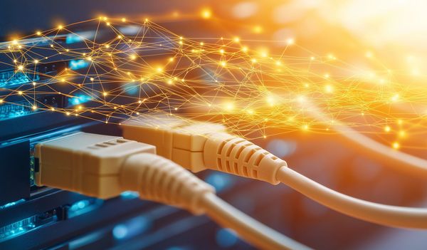 Close-up of network cables connected to a device with glowing digital connections.